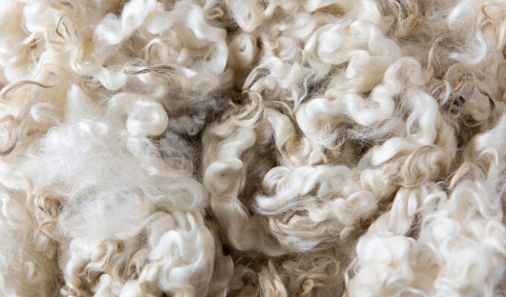 Standard Wool UK | Leumi ABL